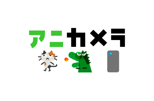 アニカメラ
